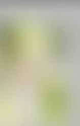 -Nice奈斯摄影婚纱写真