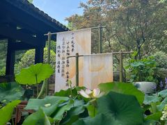 -杭州植物园