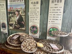 -海南槟榔谷黎苗文化旅游区