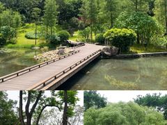 -云溪植物园