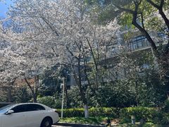 -天目湖御水温泉·度假酒店