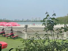 -鱼翅楼·津派砂锅鱼翅(水上公园店)