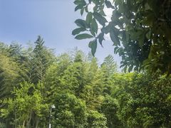 -九龙潭景区