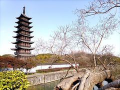 -上海方塔园