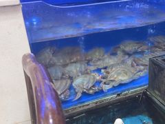 -小铜锣湾海鲜家常菜馆(河西店)