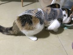 -甄爱宠物医院(疏影路店)