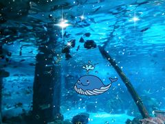 -锦艺城海洋馆
