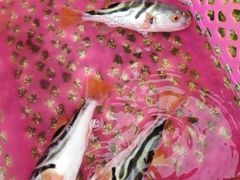 -珠海金沙滩
