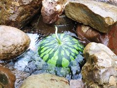 -龙窝子