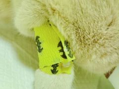 -瑞鹏宠物医院·爱宠堂·骨外专科(西荷分院)