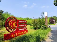 -大望京公园
