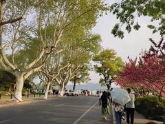-北山街历史文化街区