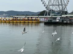 -蠡湖大桥公园