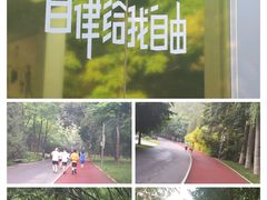 -北京奥林匹克公园