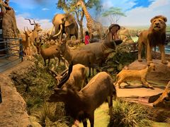 -陕西自然博物馆