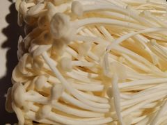 -渝蛙先生领鲜美蛙老火锅