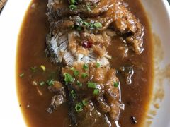 -阿五黄河大鲤鱼(纬三路店)