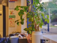 -Be Lived Cafe比例咖啡(摩天轮店)