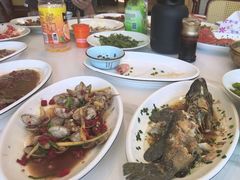 -金海湾海鲜排档(朱家尖店)