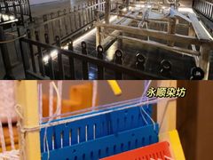-桔子文创·企业团建·活动策划·拓展会议