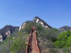 -大岭沟猕猴桃谷风景区