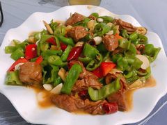 尖椒肥肠-瑜瑜饭馆