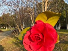 -白塘生态植物园