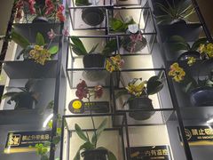 -街角 T·COFFEE 融合料理·BISTRO(车公庙店)