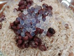 牛奶红豆冰沙-捷信牛奶甜品世家(柳巷店)