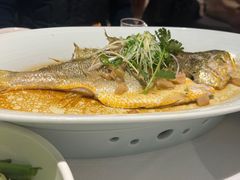 -顺峰(农展馆店)
