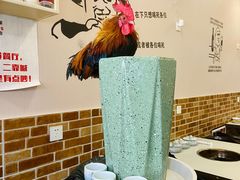 -重庆何乌鱼(南湖逸家店)