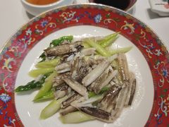 -新光酒家·河豚·海鲜·蟹料理(浦东店)