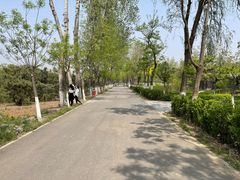 -东郊湿地公园