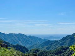 -大岭沟猕猴桃谷风景区