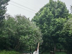 -白水寺森林公园