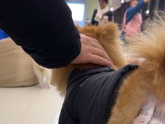 -怪兽屋·羊驼·猫咖·狗咖(俊华广场店)