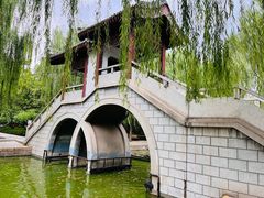 -团结湖公园