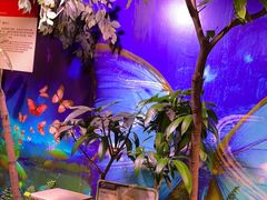 -正佳雨林生态植物园