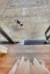 -后宫·古装汉服京剧儿童亲子全家福摄影