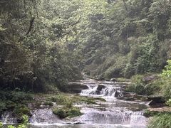 -碧峰峡风景区