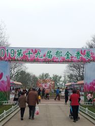 -玄武湖景区-情侣园游乐场