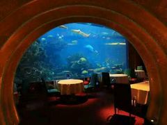 -迪拜帆船酒店海底餐厅