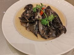 药膳鸡-沙龙酒家