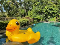 -海南清水湾莱佛士酒店