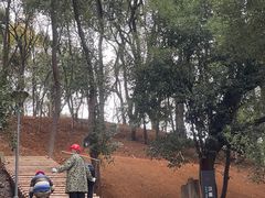 -马王堆汉墓遗址