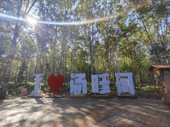-汤旺河林海奇石景区
