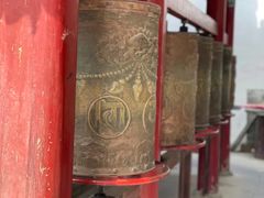 -塔尔寺-菩提树