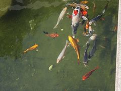 -济南国际园博园