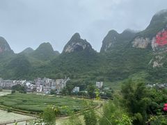 -长寿村