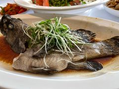 -顺峰(农展馆店)
